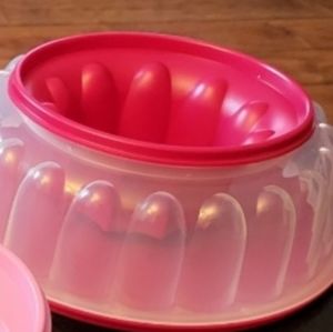 Gelatin mold